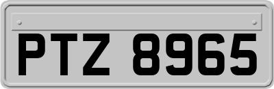 PTZ8965