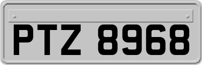 PTZ8968