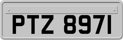 PTZ8971