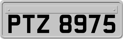 PTZ8975