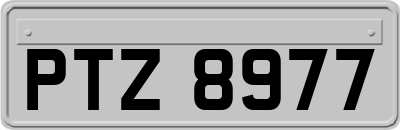 PTZ8977