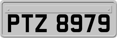 PTZ8979