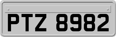 PTZ8982