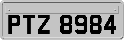 PTZ8984