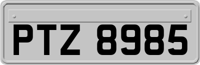 PTZ8985