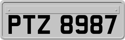 PTZ8987