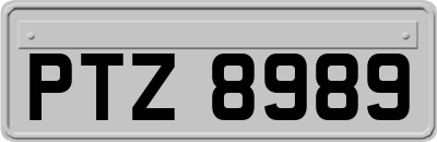 PTZ8989