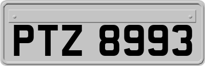 PTZ8993