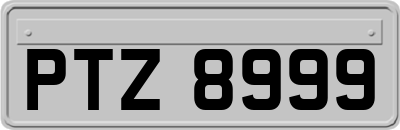 PTZ8999