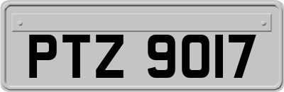 PTZ9017