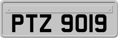 PTZ9019