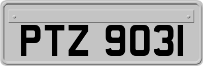 PTZ9031