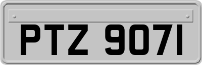 PTZ9071