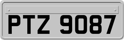 PTZ9087