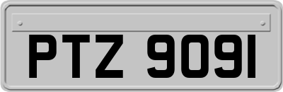 PTZ9091