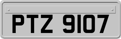 PTZ9107