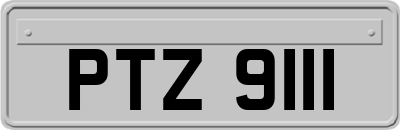 PTZ9111