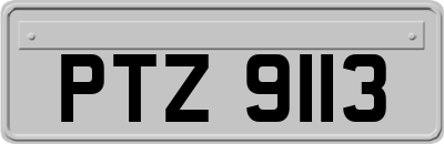 PTZ9113