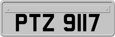 PTZ9117