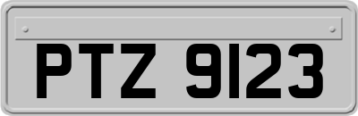 PTZ9123