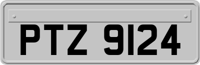 PTZ9124