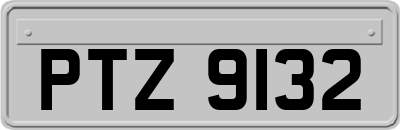 PTZ9132