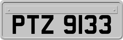 PTZ9133