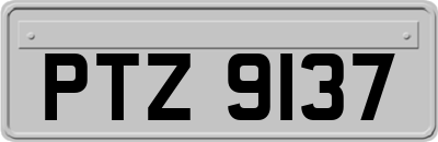 PTZ9137