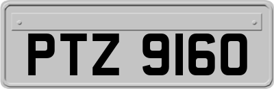 PTZ9160