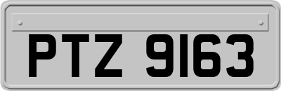 PTZ9163