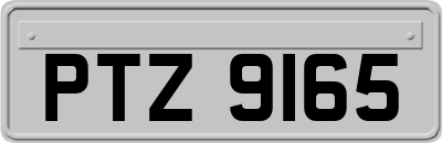 PTZ9165