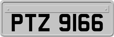 PTZ9166