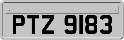 PTZ9183