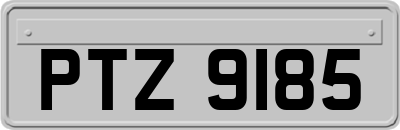 PTZ9185