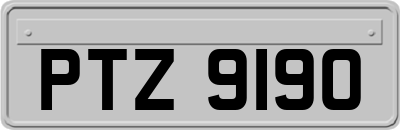 PTZ9190