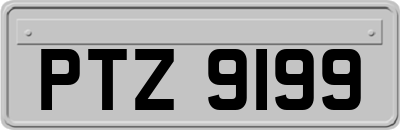 PTZ9199