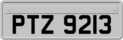 PTZ9213