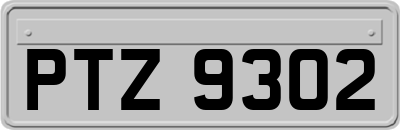 PTZ9302