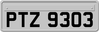 PTZ9303