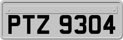 PTZ9304