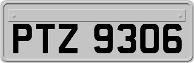 PTZ9306