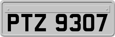 PTZ9307