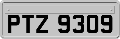 PTZ9309