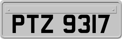 PTZ9317