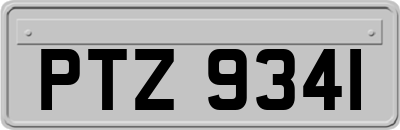 PTZ9341