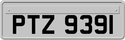 PTZ9391