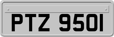 PTZ9501