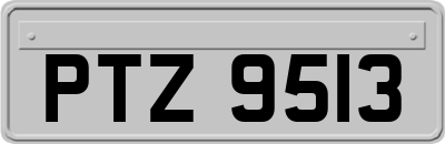 PTZ9513