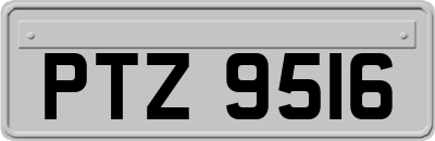 PTZ9516