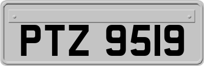 PTZ9519